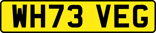 WH73VEG