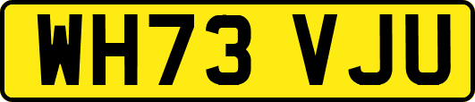 WH73VJU