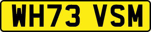 WH73VSM