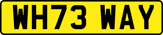 WH73WAY
