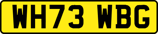 WH73WBG