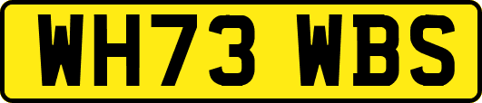 WH73WBS