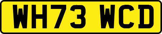 WH73WCD