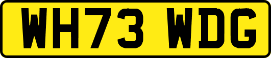 WH73WDG