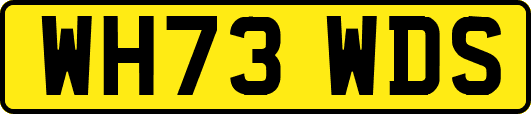 WH73WDS