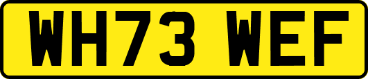 WH73WEF