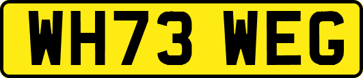 WH73WEG