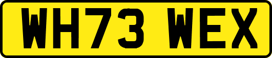 WH73WEX