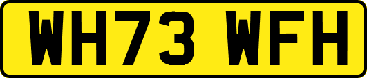 WH73WFH