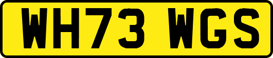 WH73WGS