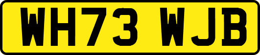WH73WJB