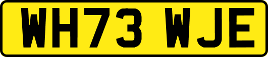 WH73WJE