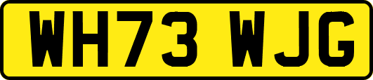 WH73WJG