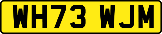 WH73WJM