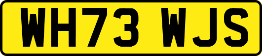 WH73WJS