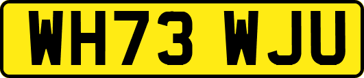 WH73WJU