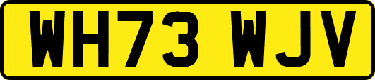 WH73WJV