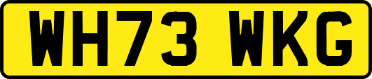 WH73WKG
