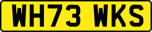 WH73WKS