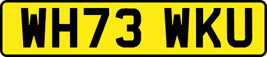 WH73WKU