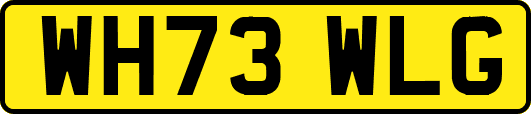 WH73WLG