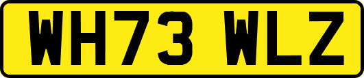 WH73WLZ