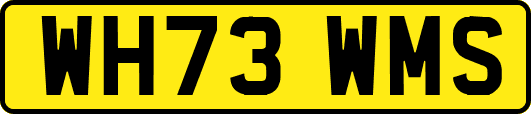 WH73WMS