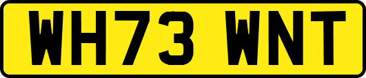 WH73WNT