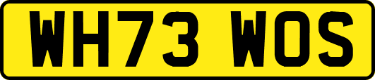 WH73WOS