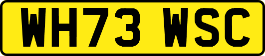 WH73WSC