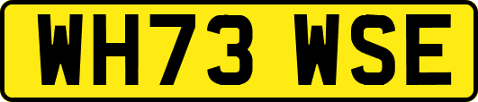 WH73WSE