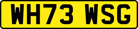 WH73WSG