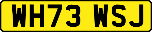 WH73WSJ
