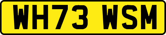 WH73WSM