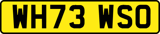WH73WSO