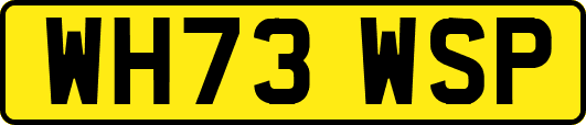 WH73WSP