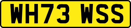 WH73WSS
