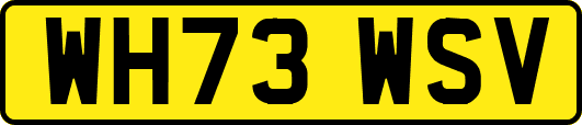 WH73WSV