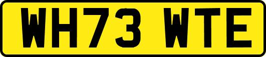 WH73WTE