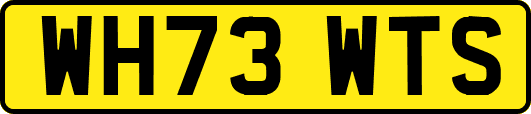 WH73WTS