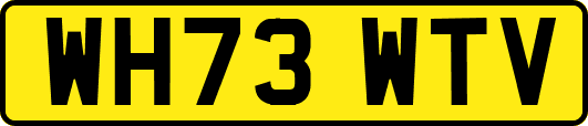 WH73WTV
