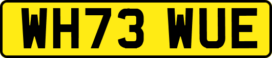 WH73WUE