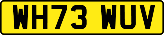 WH73WUV