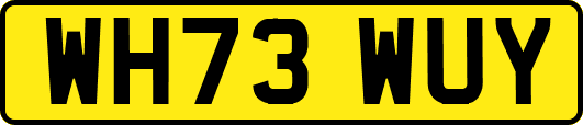 WH73WUY