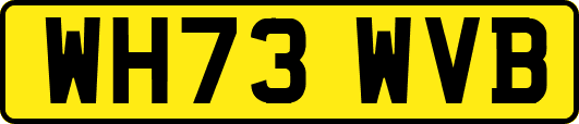 WH73WVB