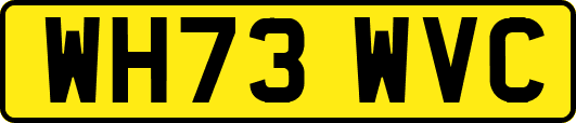 WH73WVC