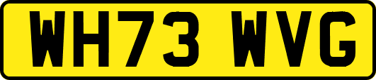 WH73WVG