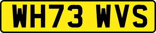 WH73WVS