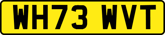 WH73WVT