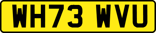 WH73WVU